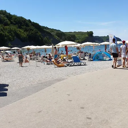 Laguna 14,18 Jagodje
