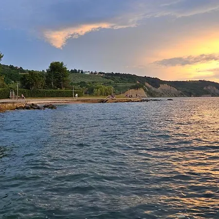 Laguna 14,18 דירה